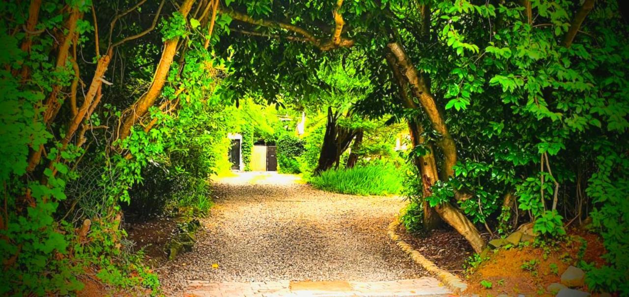 Jordanstown Charming Victorian Coach House 빌라 외부 사진